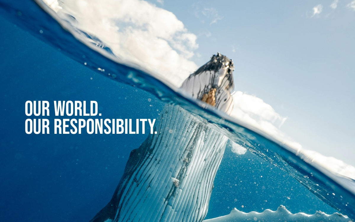 Celebrating World Oceans Day with DiTEC: Our Commitment to Eco-Friendly Marine Cleaning Products